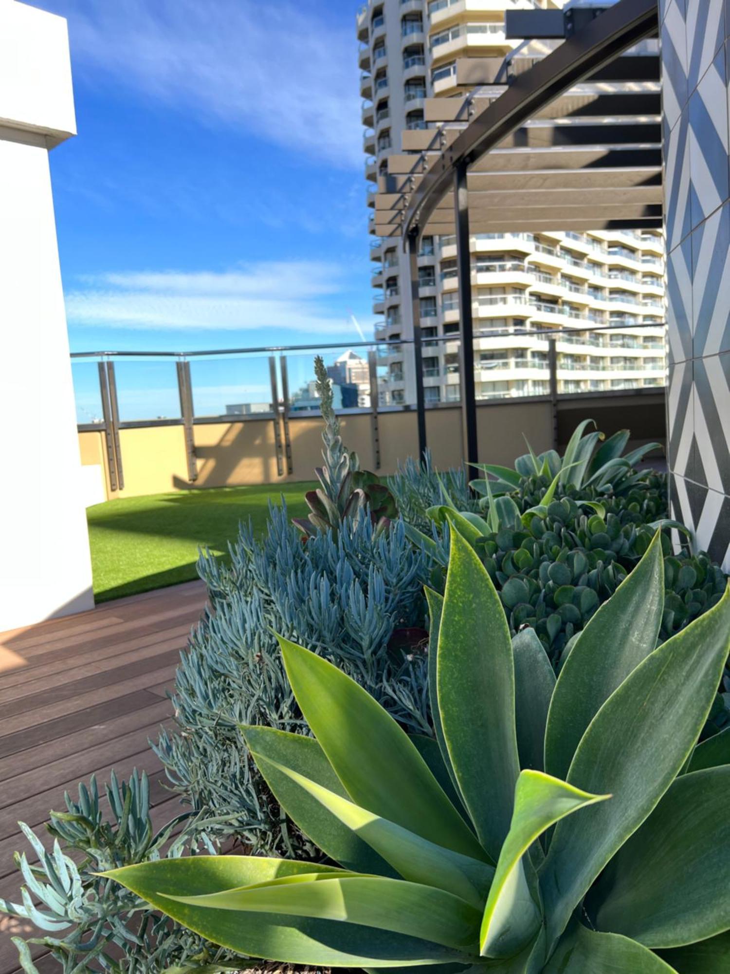 Sydney Hyde Park Private Apartments By Paxsafe ภายนอก รูปภาพ